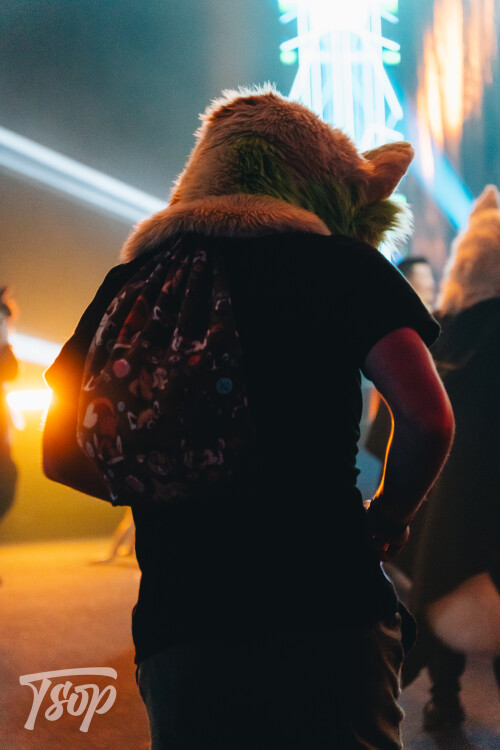 Anthrocon-2025-Sunday-242-Alexx.jpg