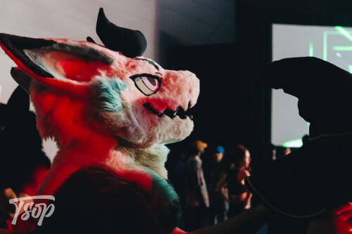 Anthrocon-2025-Sunday-244-Alexx.jpg