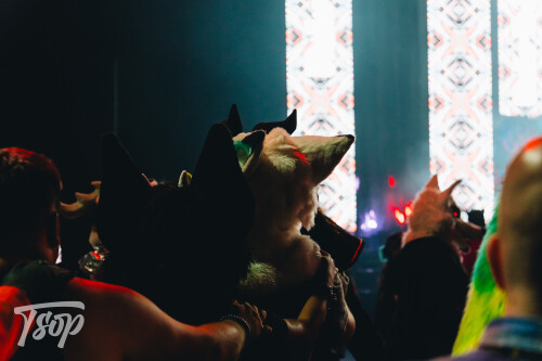 Anthrocon-2025-Sunday-246-Alexx.jpg