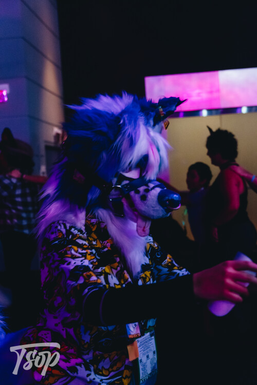 Anthrocon-2025-Sunday-248-Alexx.jpg