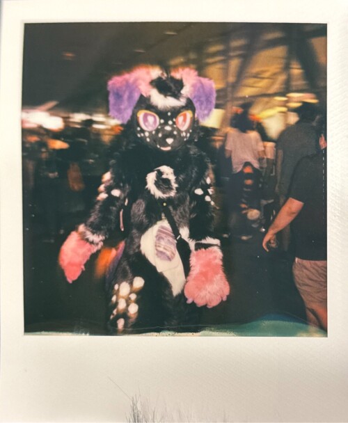 IMG_0372.jpeg