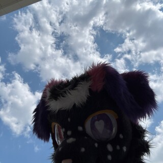 camphoto_1254324197