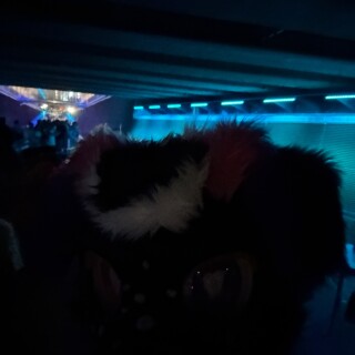 camphoto_1290326580