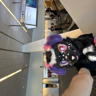 camphoto_341603450