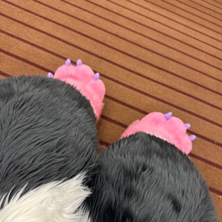 camphoto_456208845